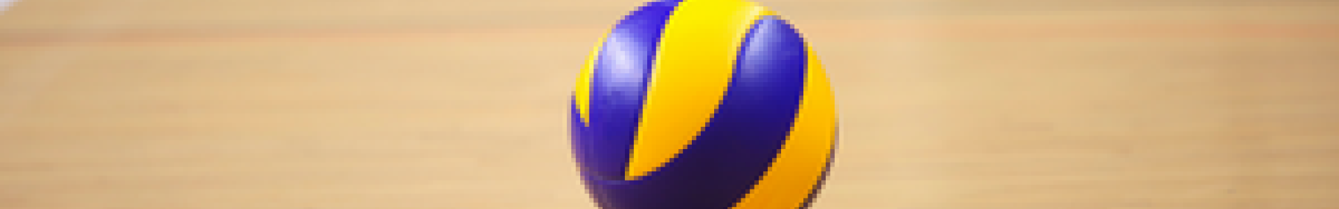 Sporthal